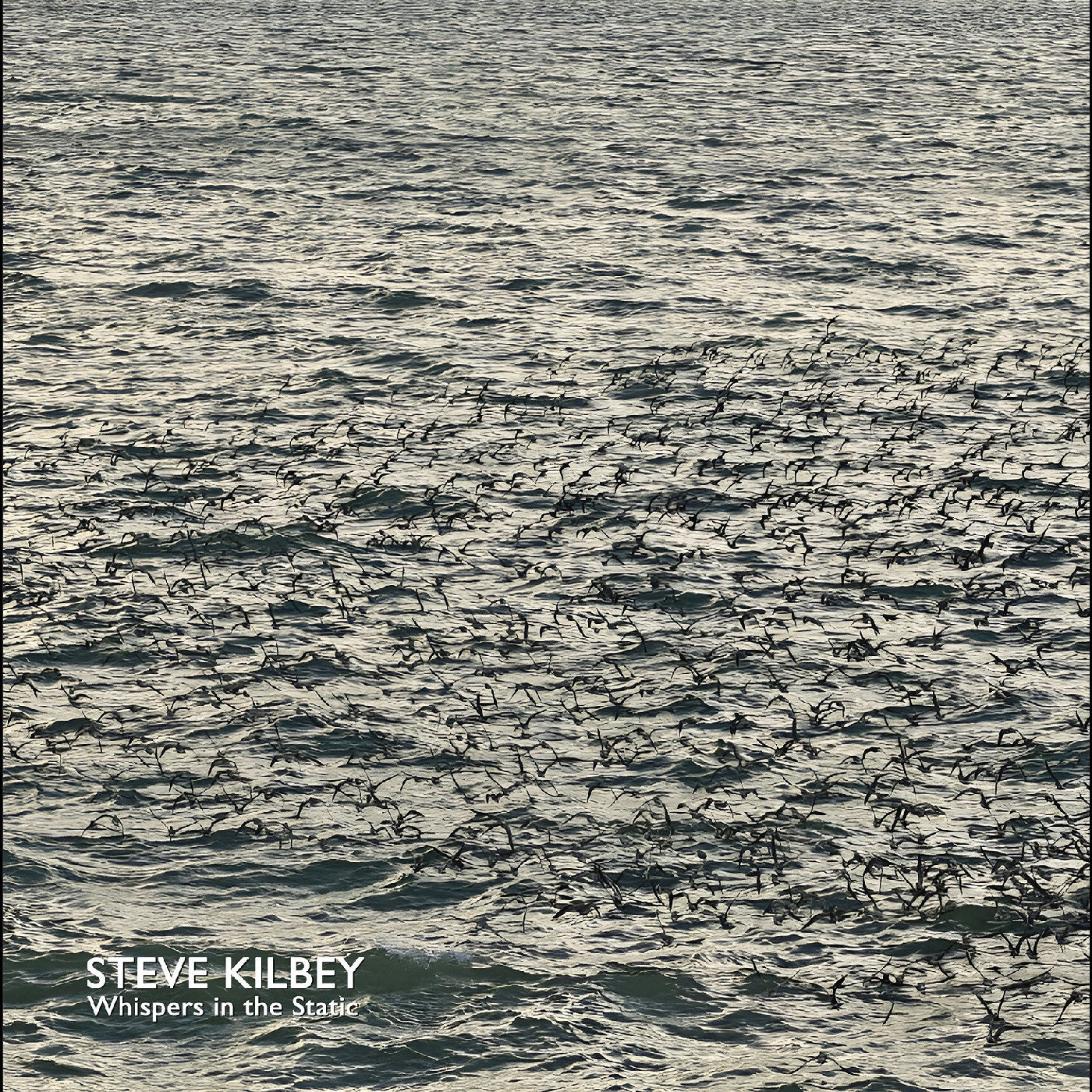 Steve Kilbey - Whispers In The Static [Gray Vinyl]