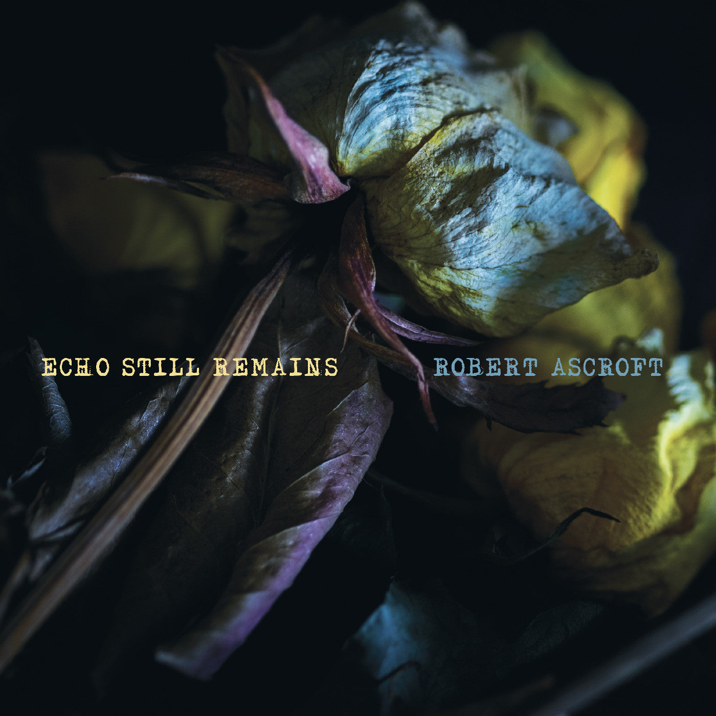 Robert Ascroft - Echo Still Remains [Custard Vinyl]