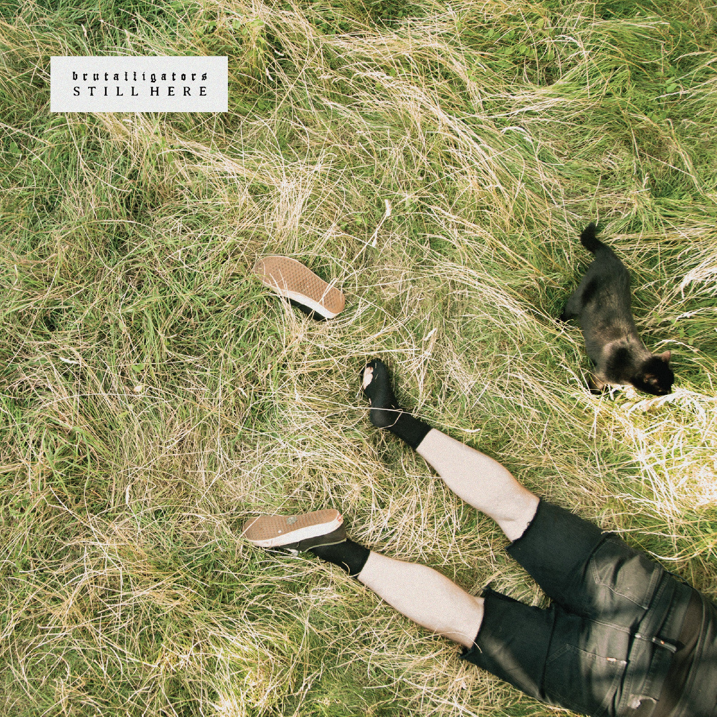 Brutalligators - Still Here [Indie-Exclusive Grassy Green Marbled Vinyl]