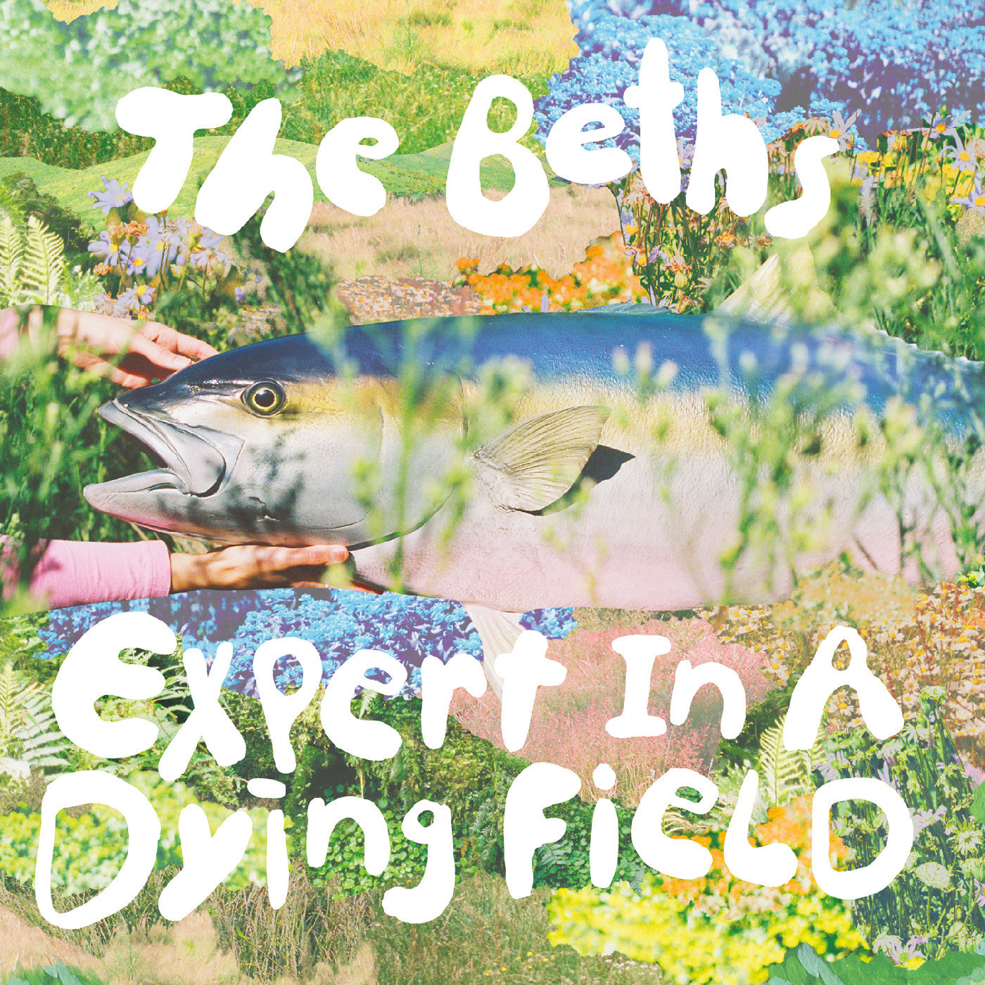 The Beths - Expert in a dying field [Head in the Clouds Vinyl]