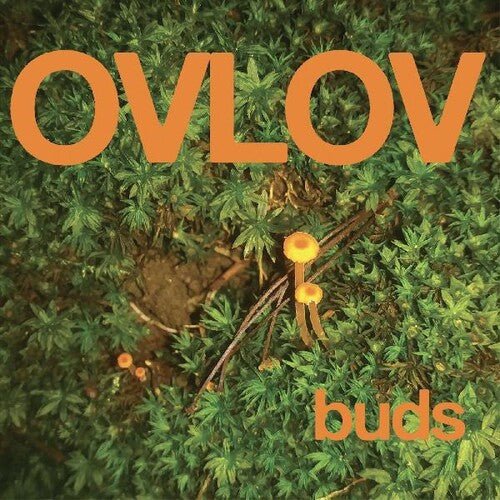 [DAMAGED] Ovlov - Buds [Indie-Exclusive Orange Vinyl]