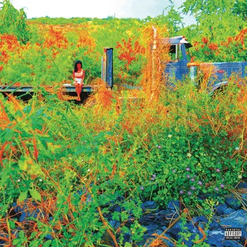 Jhene Aiko - Trip [2-lp Picture Disc]