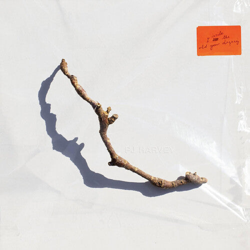 [DAMAGED] PJ Harvey - I Inside The Old Year Dying