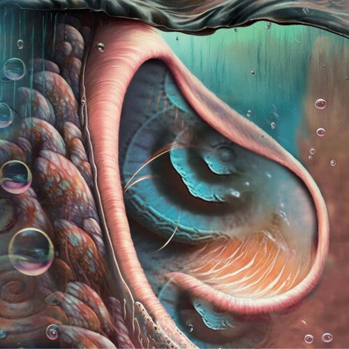 Various - Meddle Reimagined: A Tribute To Pink Floyd [Coke Bottle Green Vinyl]