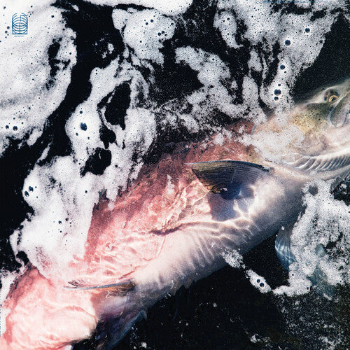 Jessike Kenney & Eyvind Kang - Azure