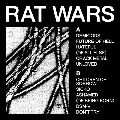 HEALTH - Rat Wars