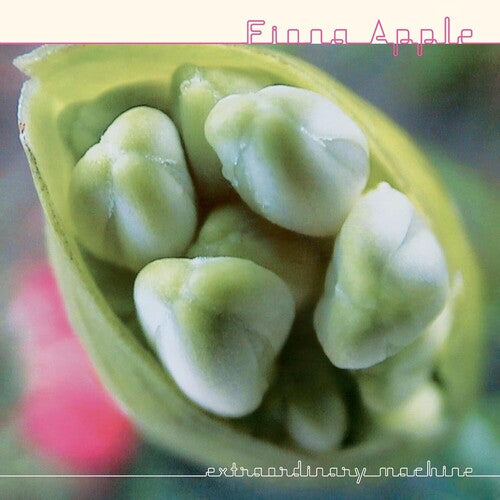 [DAMAGED] Fiona Apple - Extraordinary Machine