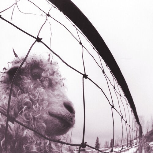 [DAMAGED] Pearl Jam - Vs. [2-lp, 45 RPM] (30th Anniversary Edition)