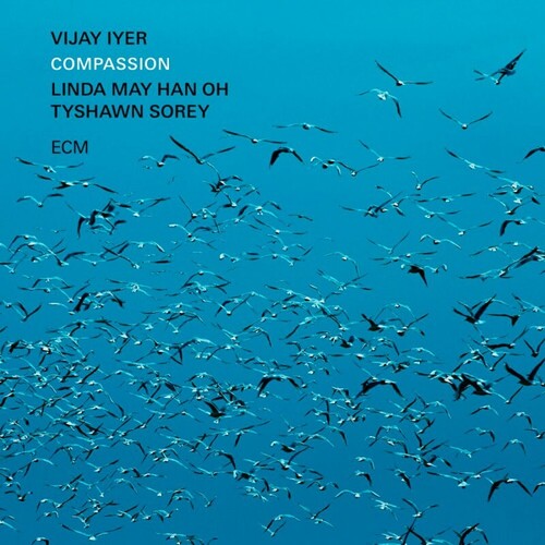 Vijay Iyer - Compassion