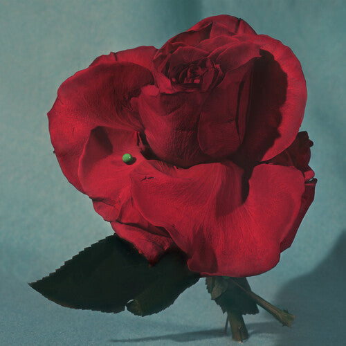 Metz - Up on Gravity Hill [Clear & Red Vinyl]