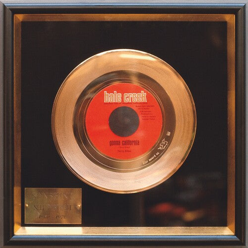 Terry Allen - Gonna California [7"]