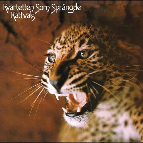 Kvartetten Som Sprängde - Kattvals [Psychedelic Splatter Vinyl]