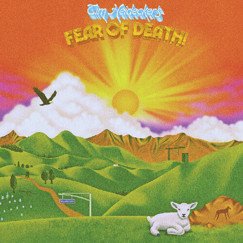 Tim Heidecker - Fear Of Death [Colored Vinyl]