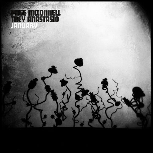 Page McConnell and Trey Anastasio - January