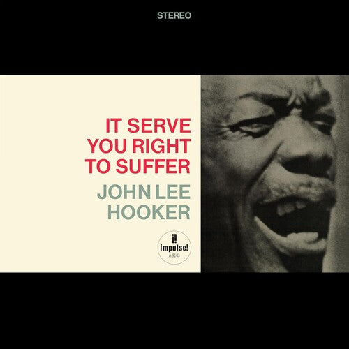 John Lee Hooker - It Serve You Right To Suffer [Verve Acoustic Sounds Series]