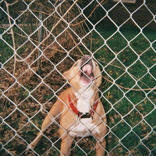 Knocked Loose - Pop Culture [Black, Orange, and Red Vinyl]