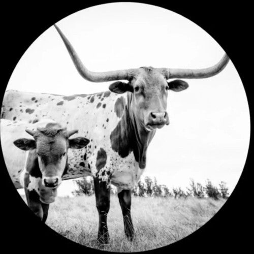 Mike Flanigin - West Texas Blues [Picture Disc]