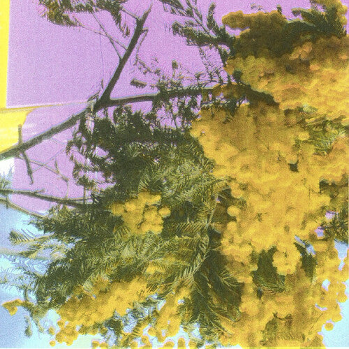 [PRE-ORDER] Four Tet - Into Dust (Still Falling) [12"] [Release Date: 09/05/2025]