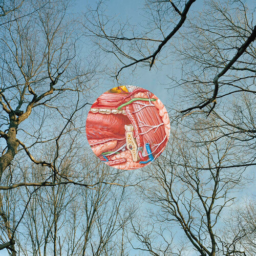 They Might Be Giants - Glean [Red Vinyl]