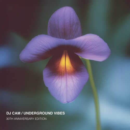 DJ Cam - Underground Vibes (30th Anniversary)