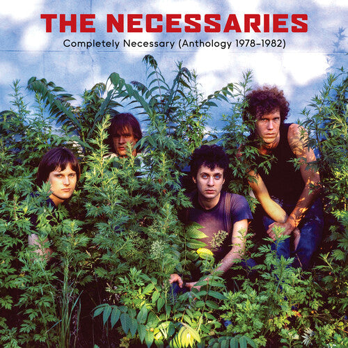 [DAMAGED] The Necessaries - Completely Necessary (Anthology 1978-1982)