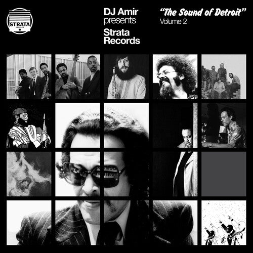 DJ Amir - DJ Amir Presents Strata Records: The Sound Of Detroit Vol. 2 [3-lp]