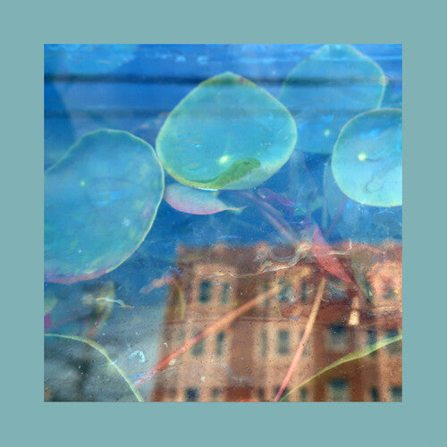 The Reds, Pinks & Purples - Acknowledge Kindness [Indie-Exclusive Subconscious Window Pane Vinyl]