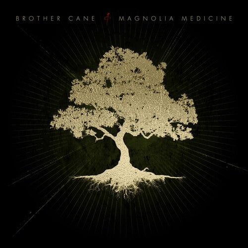 [PRE-ORDER] Brother Cane - Magnolia Medicine [Indie-Exclusive Colored Vinyl] [Release Date: 04/17/2026]