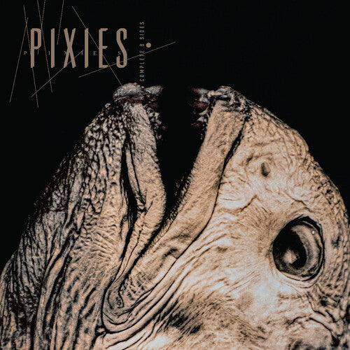 [PRE-ORDER] Pixies - Complete B Sides: 1988-97 [Indie-Exclusive Clear Vinyl] [Release Date: 06/26/2026]