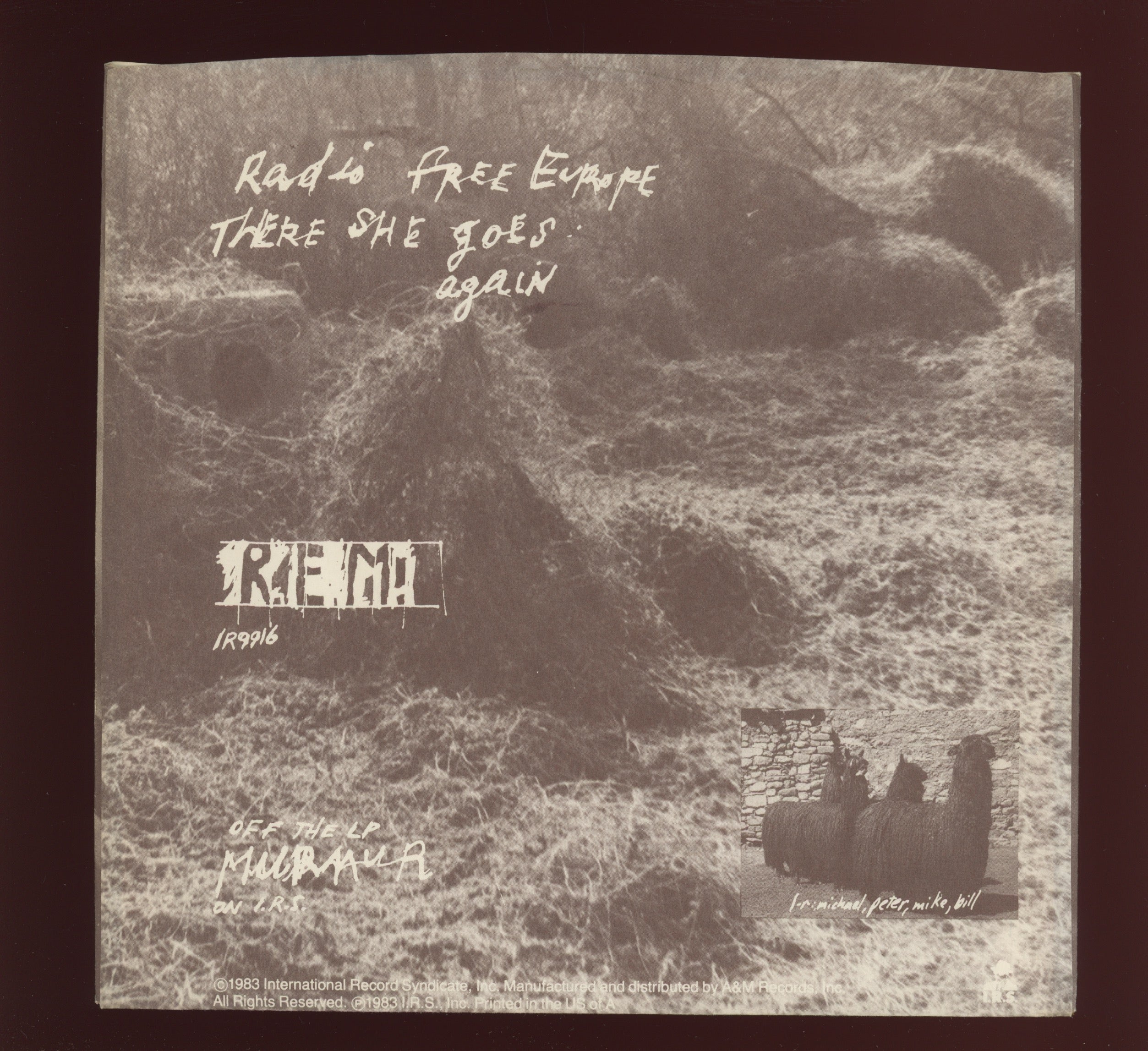 R.E.M. - Radio Free Europe on I.R.S. 45 With Picture Sleeve