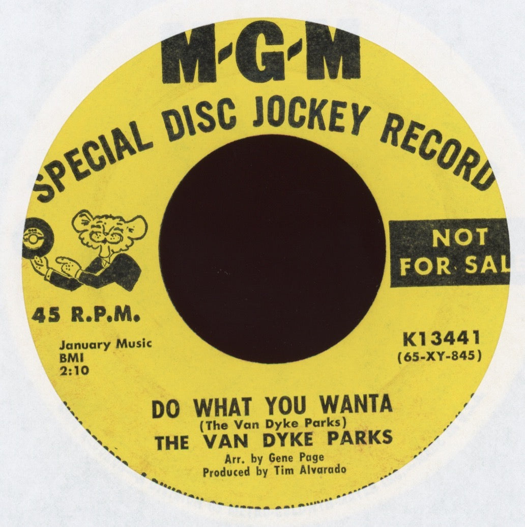 Van Dyke Parks - Number Nine on MGM Promo Pop Psych 45