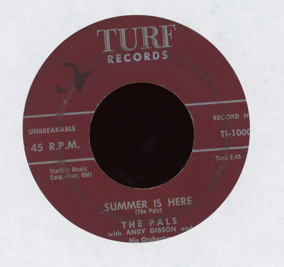 The Pals - Summer Is Here / My Baby Likes To Rock on Turf Doo Wop 45