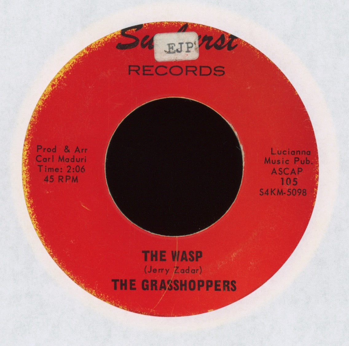 The Grasshoppers - The Wasp on Sunburst Surf 45 Benjamin Orr