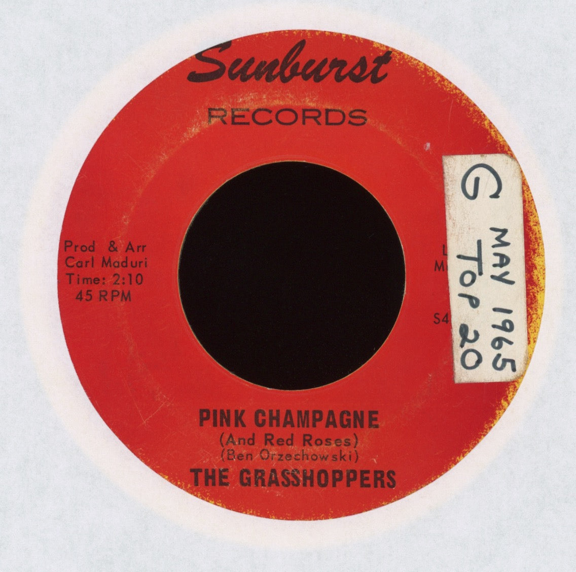 The Grasshoppers - The Wasp on Sunburst Surf 45 Benjamin Orr