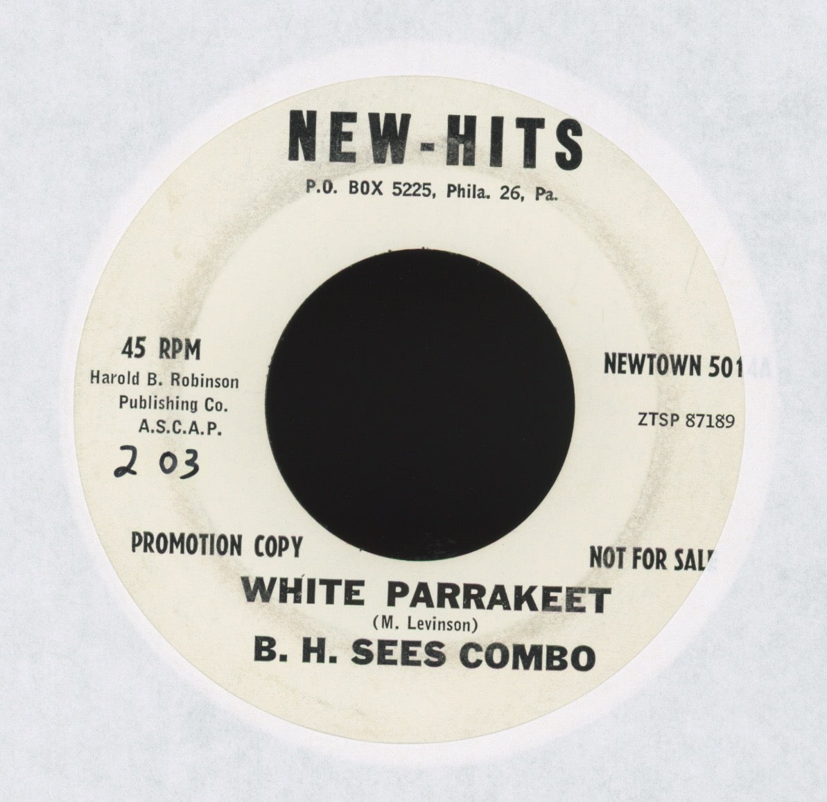 B.H. Sees Combo - White Parrakeet on New Hits Promo Instro Rocker 45 Bill Haley