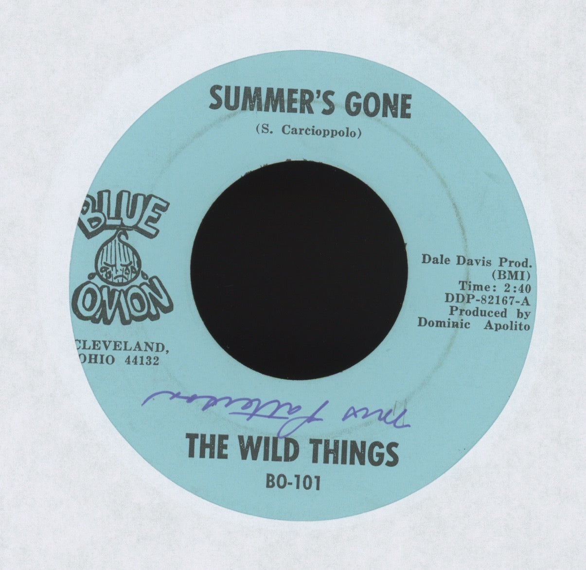 The Wild Things - I'll Taste Your Lips on Blue Onion Garage 45