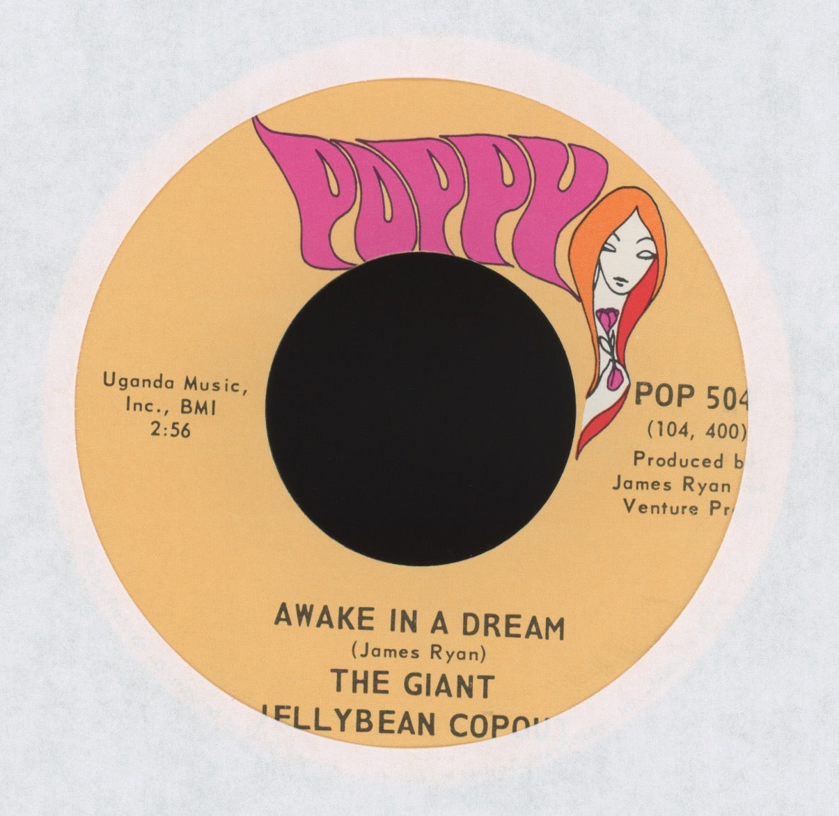 The Giant Jellybean Copout - Awake in a Dream Pop Psych 45
