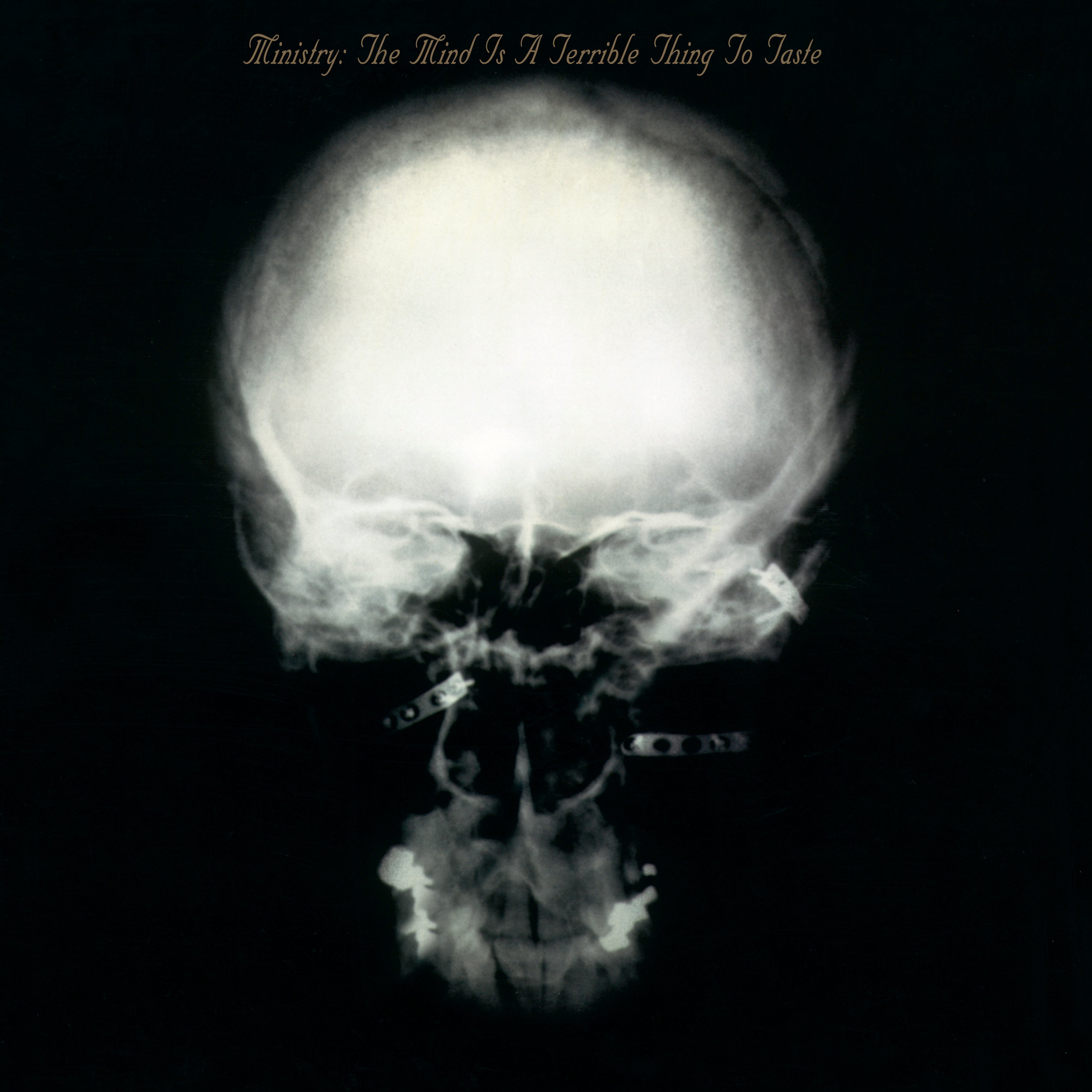 [PRE-ORDER] Ministry - The Mind is a Terrible Thing to Taste [Expanded Edition] [ROCKtober 2025] [2-lp 180g Vinyl] [Release Date: 10/10/2025]