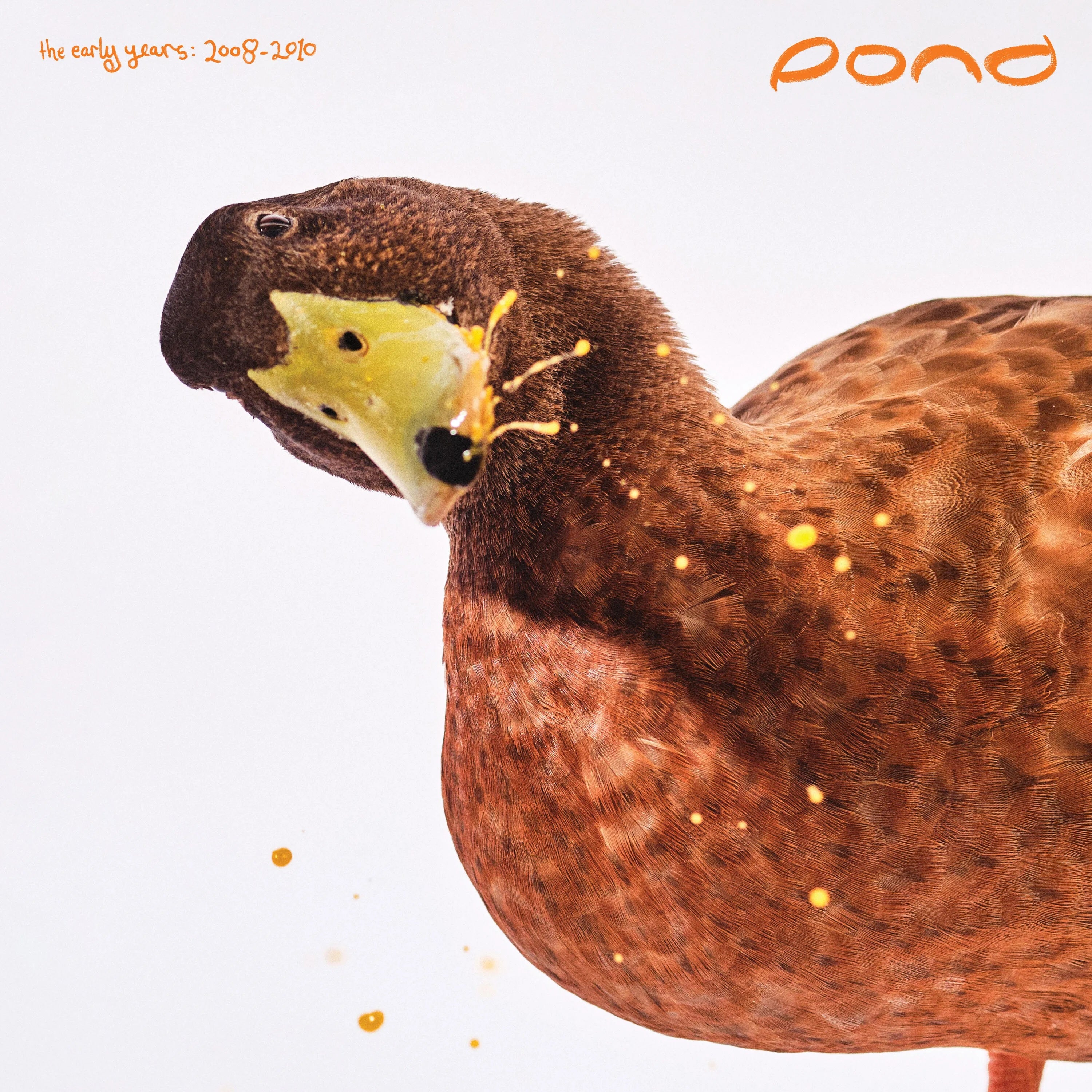 Pond - The Early Years: 2008 - 2010 [2-lp]