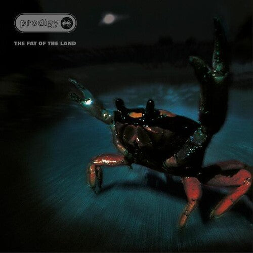 [DAMAGED] The Prodigy - The Fat of the Land (25th Anniversary Edition) [Silver Vinyl]