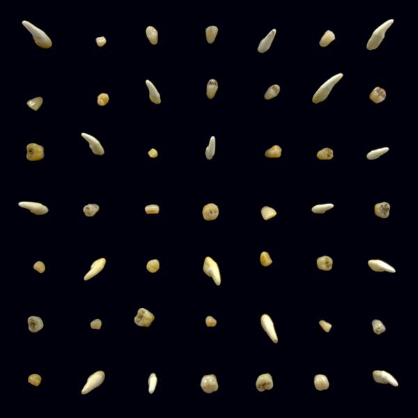 [DAMAGED] Clipping. - Visions Of Bodies Being Burned