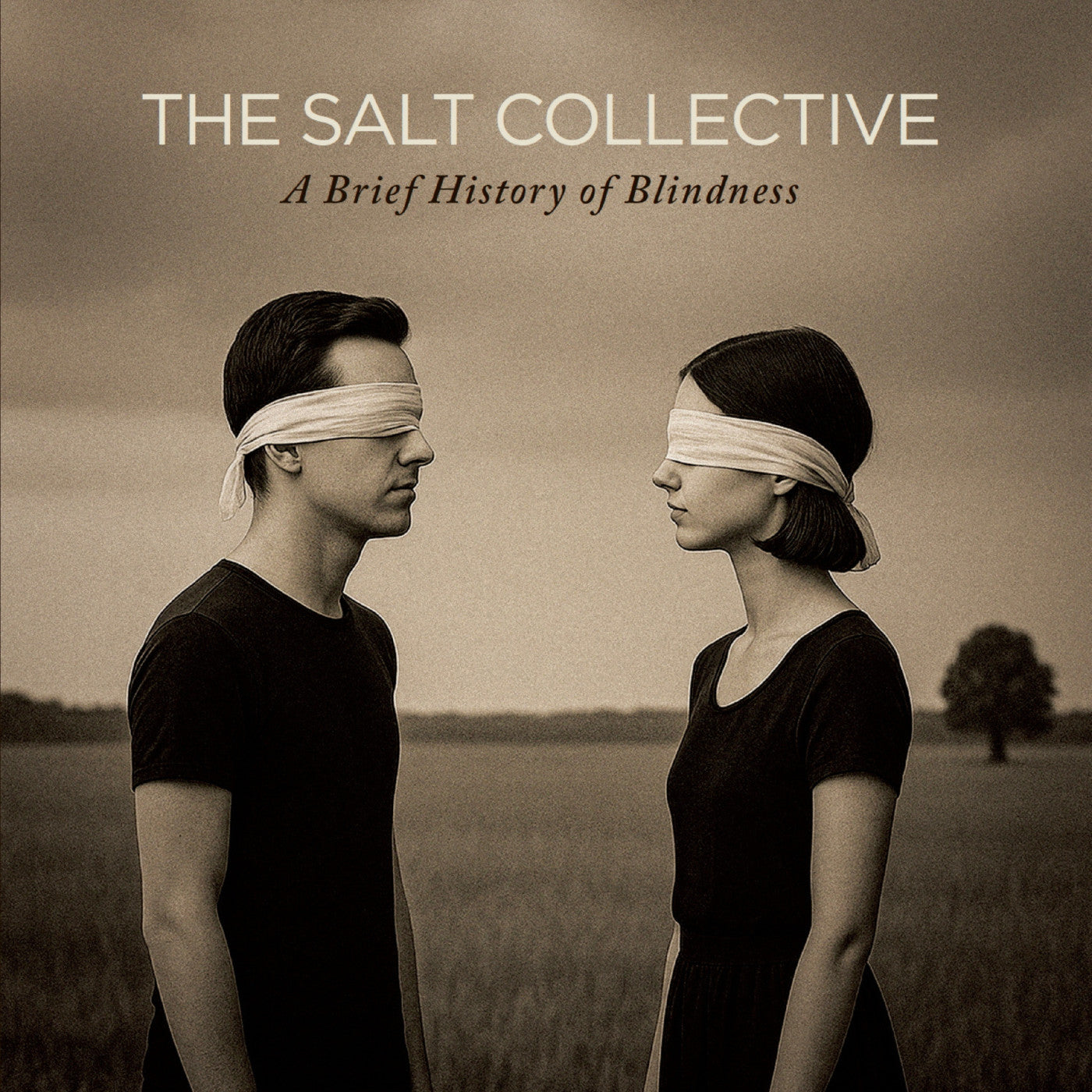 [PRE-ORDER] The Salt Collective - A Brief History of Blindness [Citrine Mist Vinyl] [Release Date: 11/21/2025]