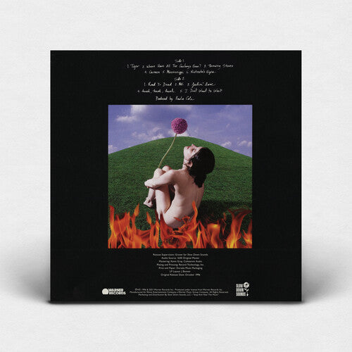 Paula Cole - This Fire [Anniversary Edition]