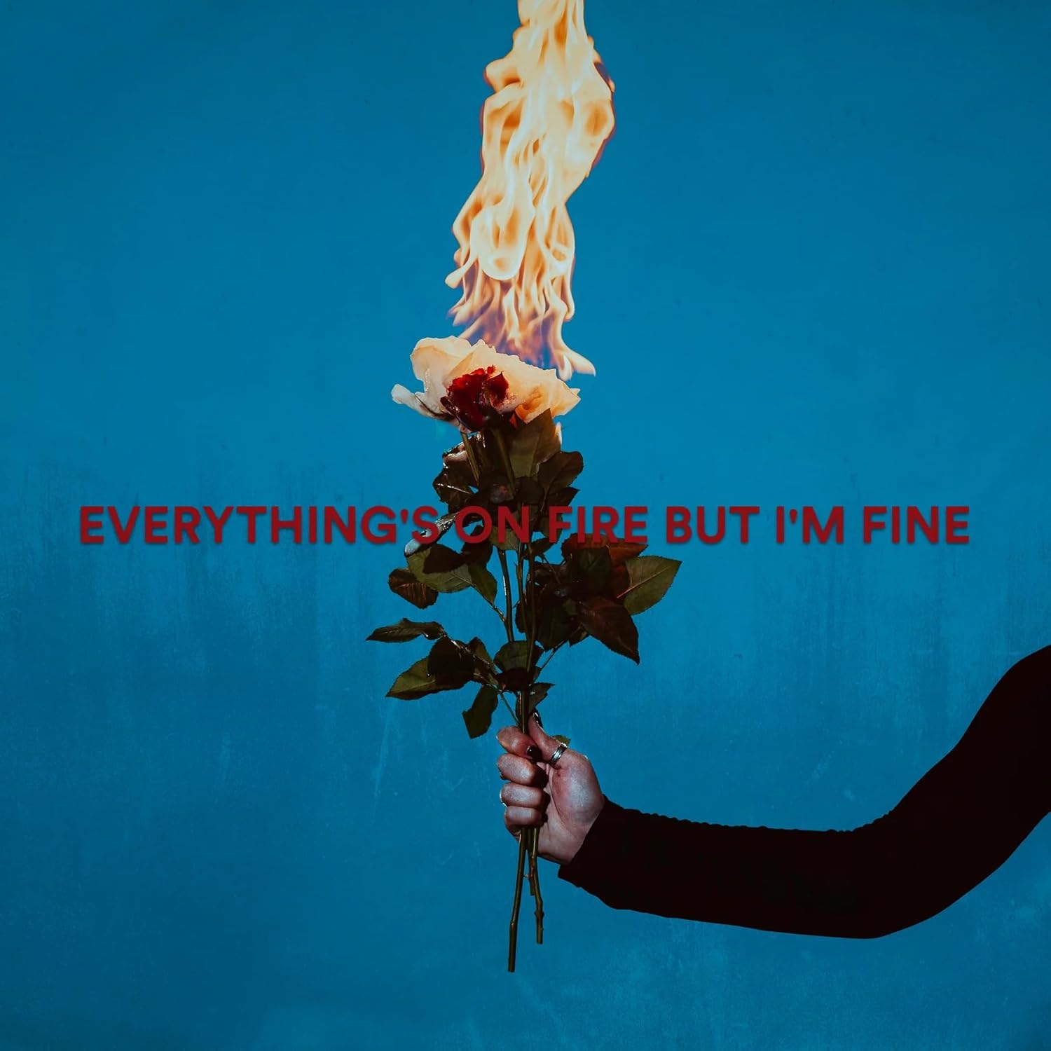 [DAMAGED] As December Falls - Everything's On Fire But I'm Fine [Red Marble Vinyl]