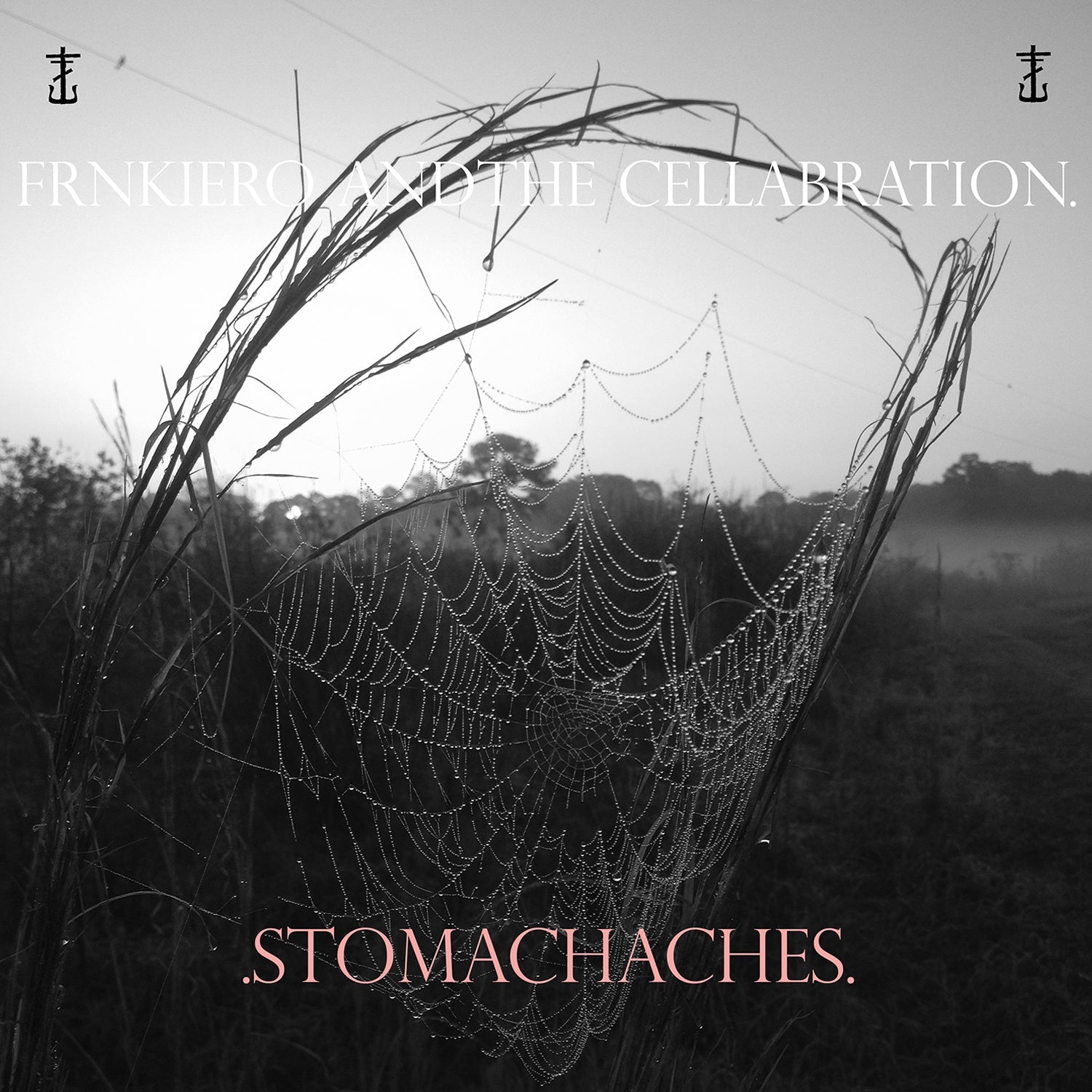[DAMAGED] Frnkiero & The Cellabration - Stomachaches