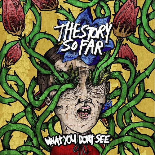 The Story So Far - What You Don't See [Blue & White Splatter Vinyl]