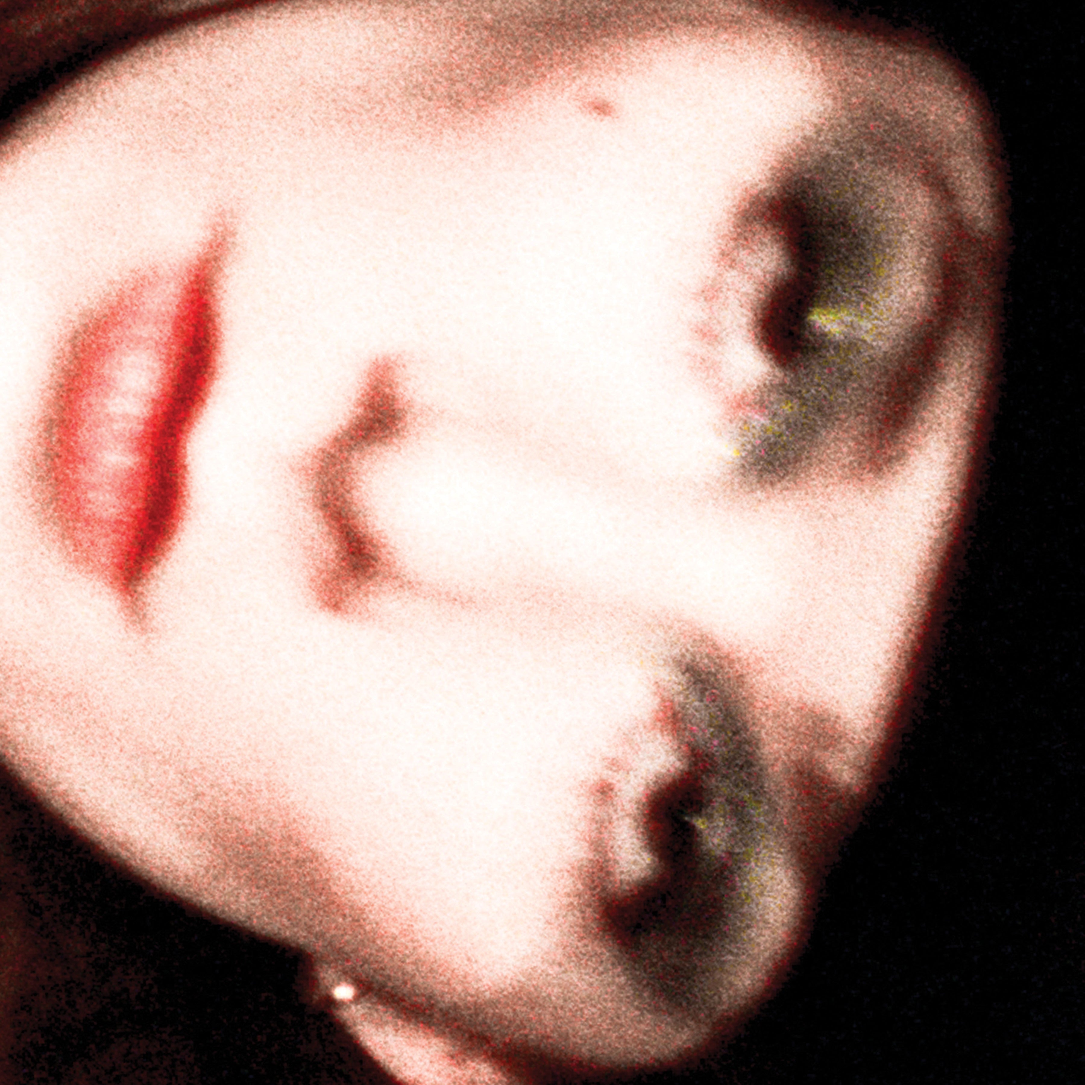 Dance Arts Center - Dance Arts Center Presents [Transparent Blue Vinyl]