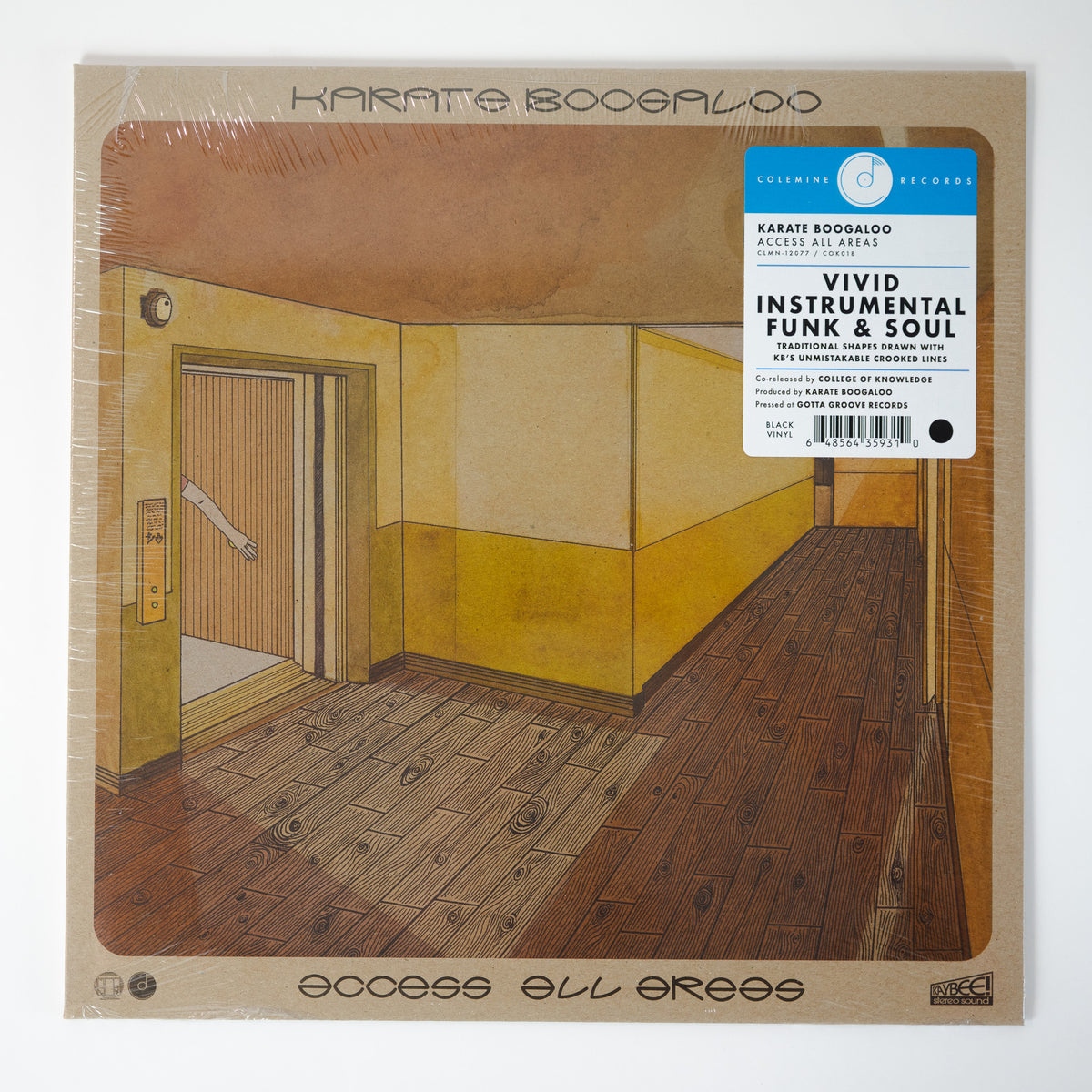 [PRE-ORDER] Karate Boogaloo - Access All Areas [Release Date: 10/09/2026]