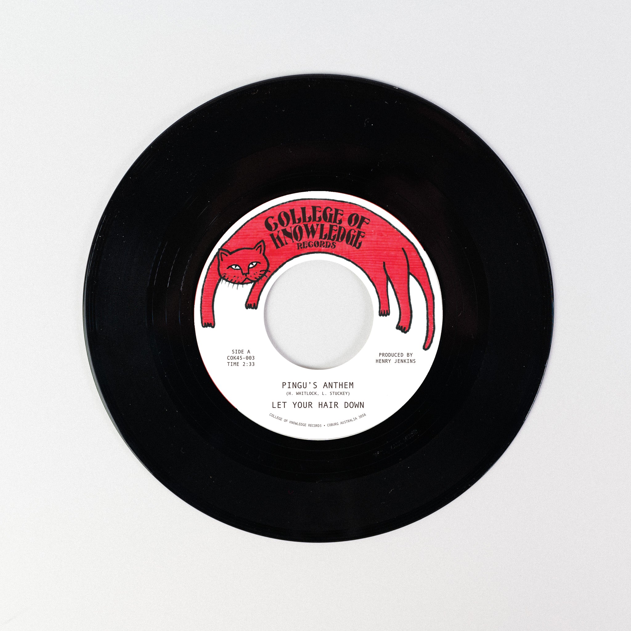 Let Your Hair Down - Pingu’s Anthem / Gronk [7"]