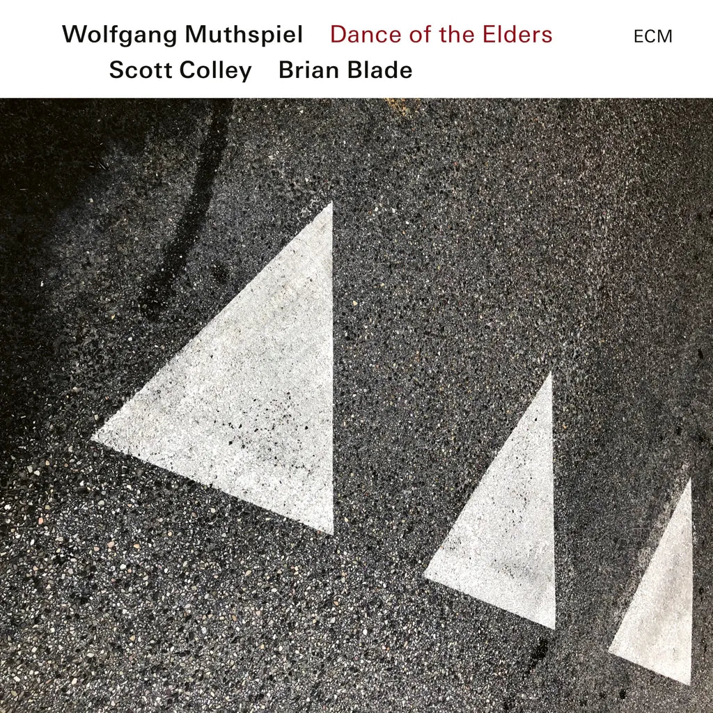 [DAMAGED] Wolfgang Muthspiel, Scott Colley, Brian Blade - Dance of the Elders